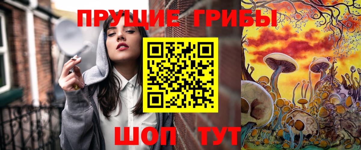 Псилоцибиновые грибы Psilocybe Елец