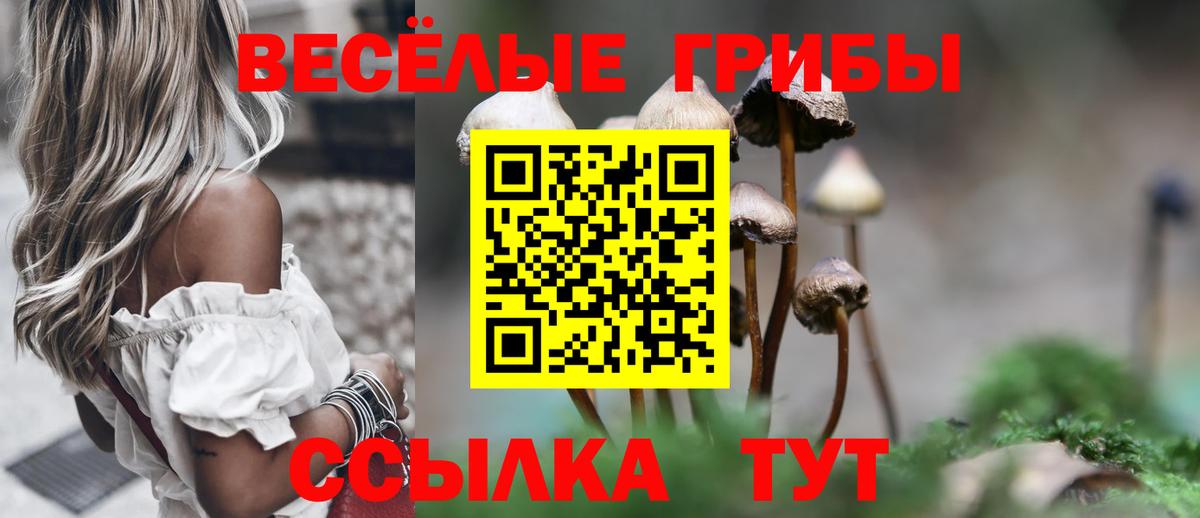 Галлюциногенные грибы прущие грибы  Галлюциногенные грибы Psilocybe  Елец  Вход с VPN 